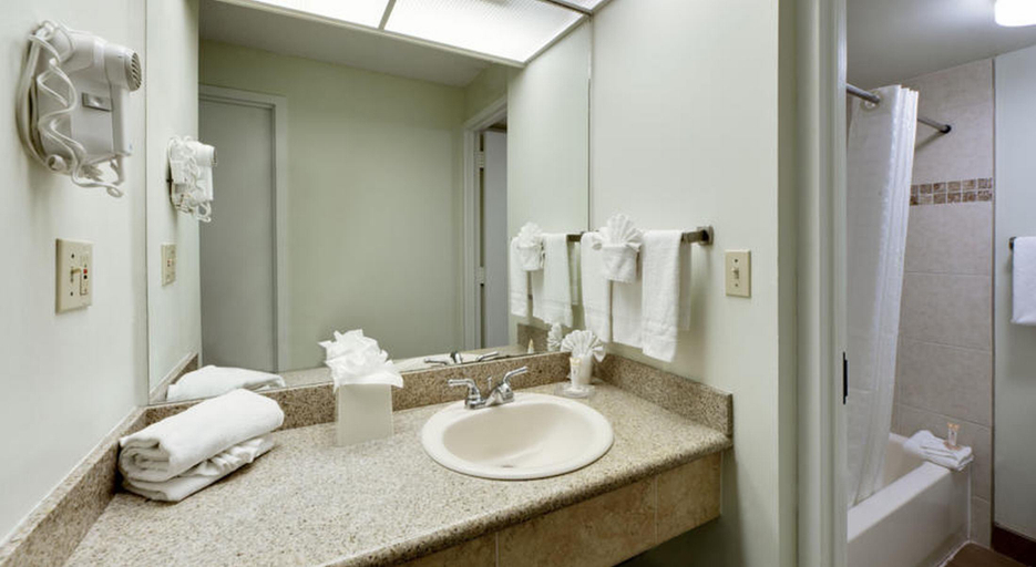 Bathroom 4, Four Points by Sheraton Orlando Convention Center, Orange