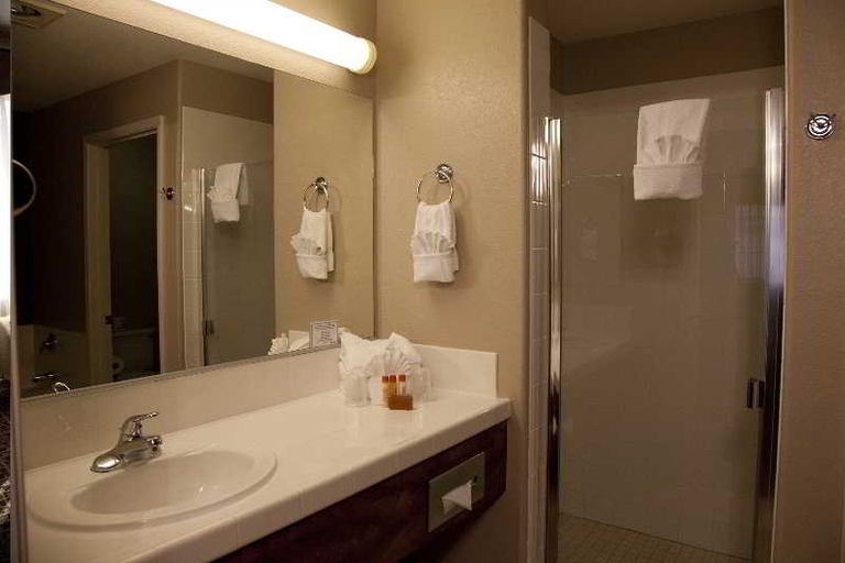 Bathroom 5, Tuscany Suites & Casino, Clark