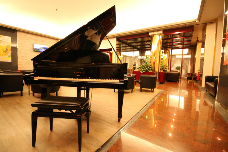 Public Area 3, Hotel Diplomatic, Torino