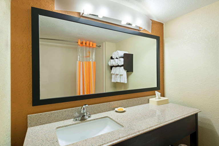 Bathroom 4, Comfort Inn & Suites Tampa North I-75, Hillsborough