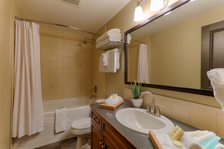 Bathroom 5, Blackstone Mountain Lodge by CLIQUE, Division No. 15