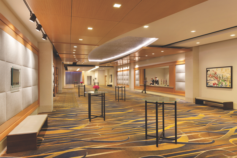 Public Area 3, Swissotel Chicago, Cook