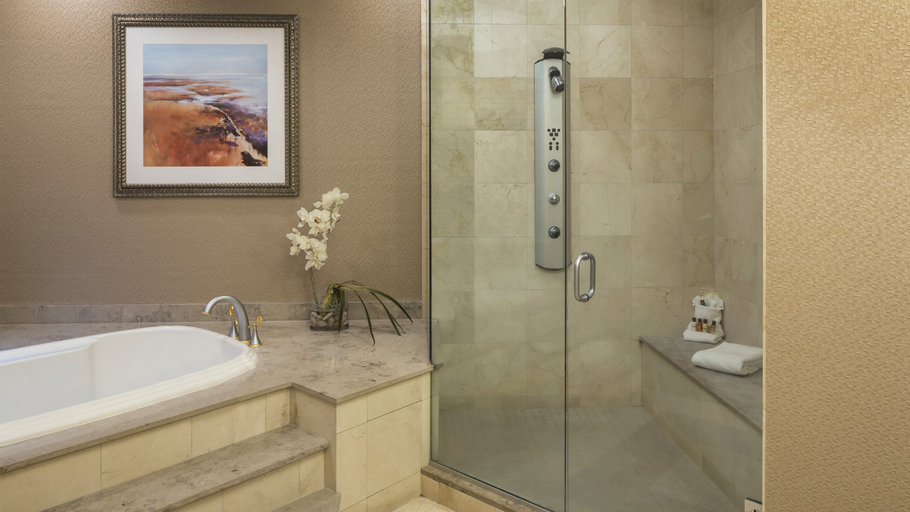Bathroom 5, Sheraton Atlantic City Convention Center Hotel, Atlantic
