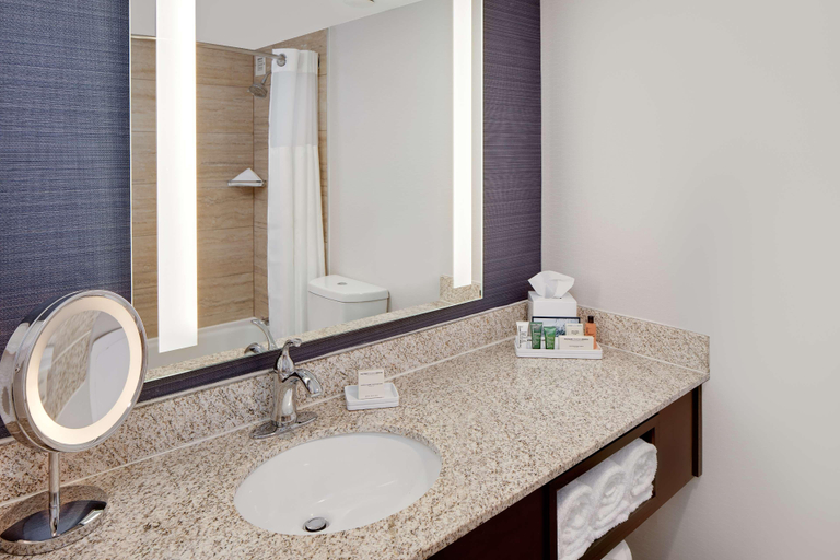 Bathroom 5, Nashville Airport Marriott, Davidson