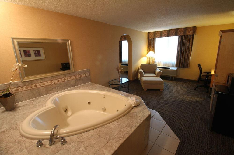 Bathroom, Gateway Hotel Dallas, Dallas