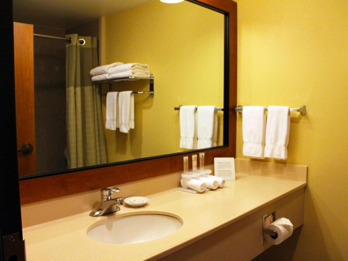 Bathroom 4, Truckee Donner Lodge, Nevada