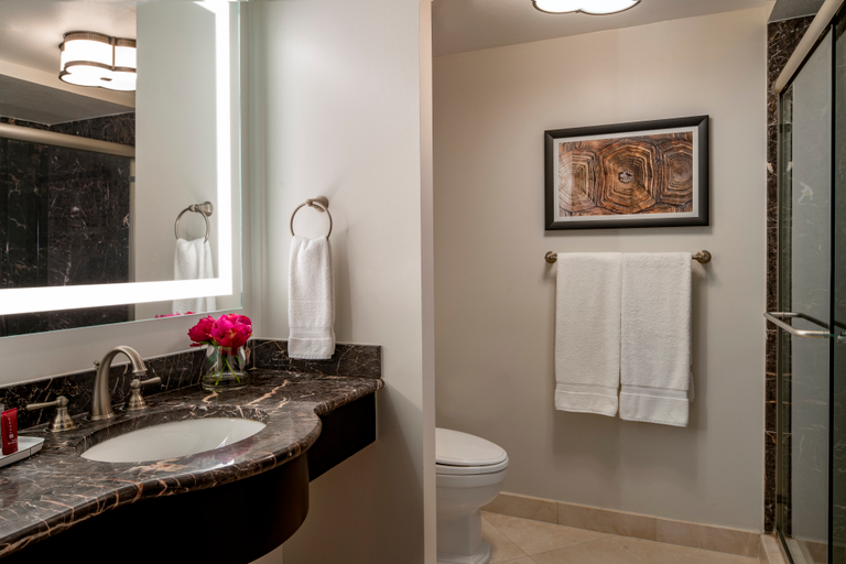 Bathroom 5, Hollywood Beach Marriott, Broward