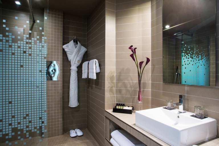 Bathroom 4, FirstName Toulouse, Haute-Garonne