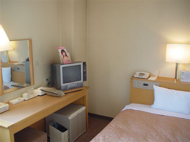 Okazaki Dai-ichi hotel East Wing, Okazaki
