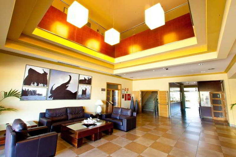 Public Area 4, Montera Plaza, Cádiz