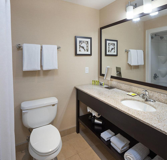 Bathroom 4, Delta Hotels Guelph Conference Centre, Wellington