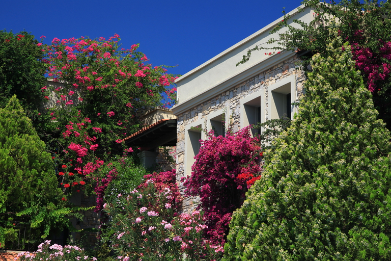Exterior & Views, Hotel Zeytinada, Bodrum