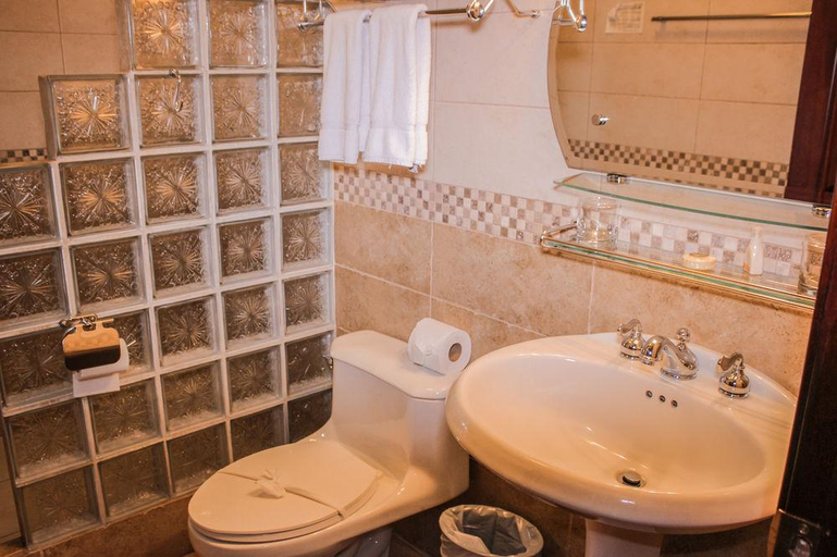 Bathroom 4, Hotel Casa Roland San José, San José
