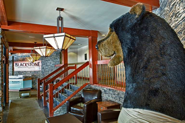Public Area 4, Blackstone Mountain Lodge by CLIQUE, Division No. 15