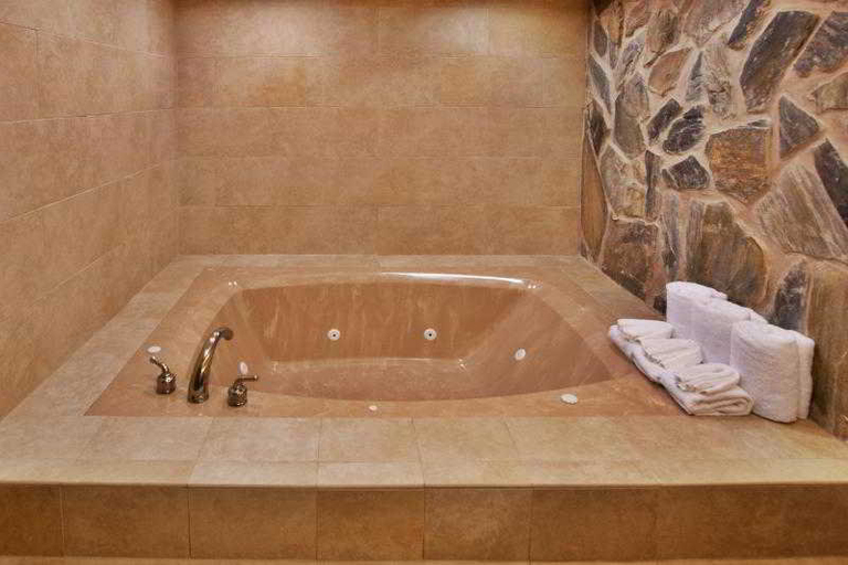 Bathroom 4, Holiday Inn Hotel & Suites, Richland