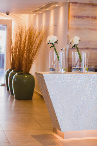 Public Area 4, Napa Plaza Hotel