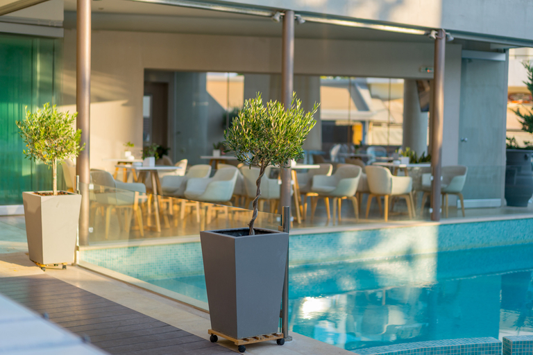 Public Area 3, Nefeli Hotel, Crete