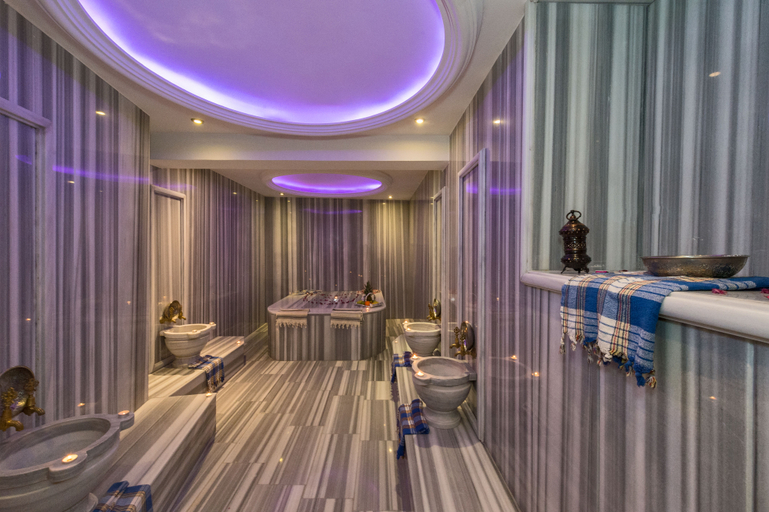 Public Area 3, Gulhanepark Hotel & Spa, Fatih