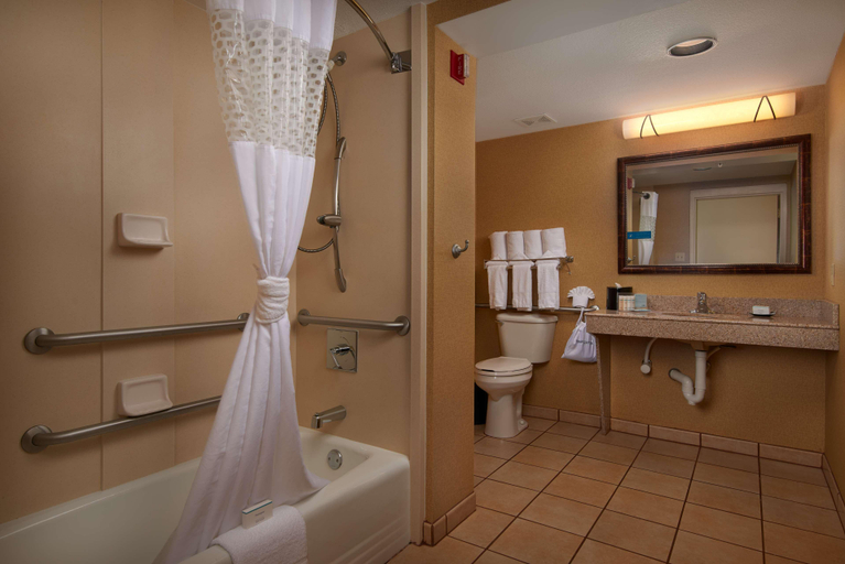 Bathroom 4, Hampton Inn & Suites Phoenix/Scottsdale, Maricopa