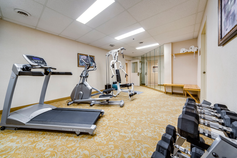 Others 2, Monte Carlo Inn Brampton Suites, Peel