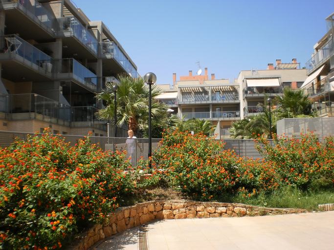 Public Area 2, Apartamentos Alcocebre Suites 3000, Castellón