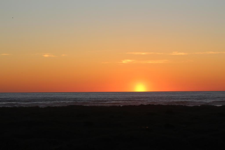 Exterior & Views 5, Ocean Paradise Hotel & Resort, Grays Harbor