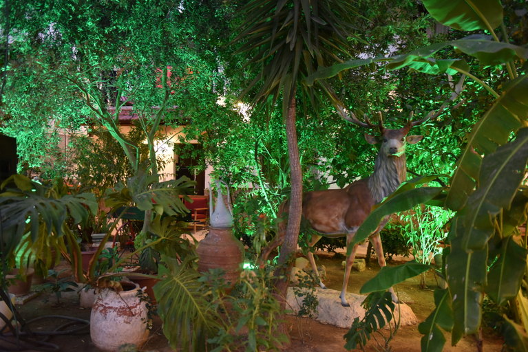 Exterior & Views 2, Hotel Istankoy, Bodrum