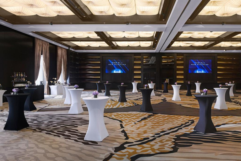 Public Area 4, Radisson BLU Bucharest, Municipiul Bucuresti