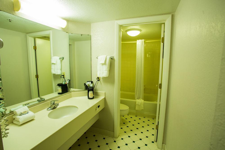 Bathroom, Countryinn&Suitesbyradisson,Hoffmanestates,Il, Cook