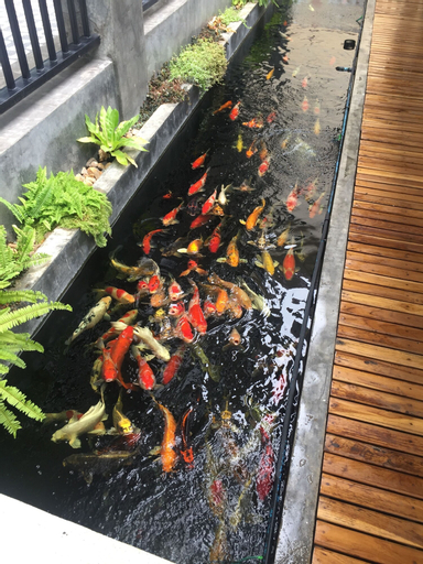 Phetcharat Grand Hotel Maesot, Mae Sot
