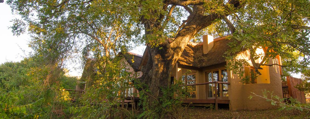 Exterior & Views 1, Shishangeni Main Lodge, Ehlanzeni