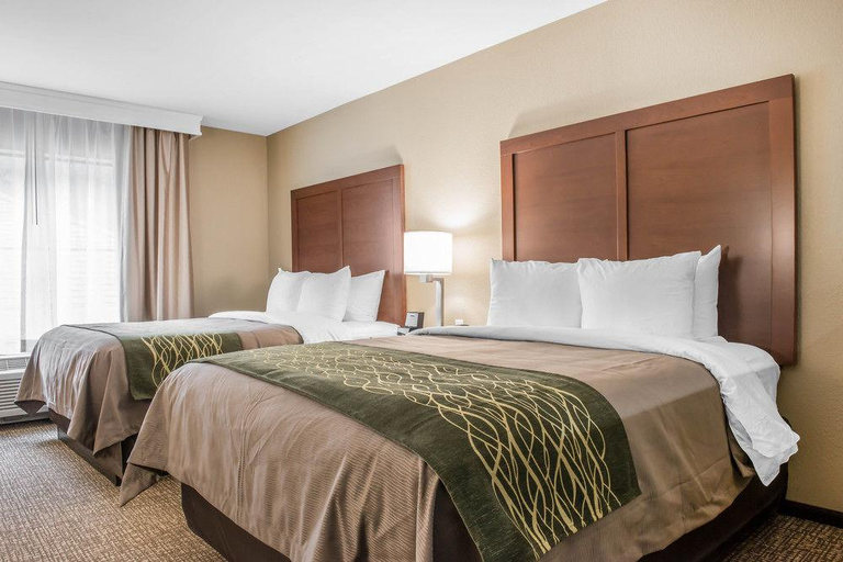 Bedroom 4, Comfort Inn & Suites, Allegheny