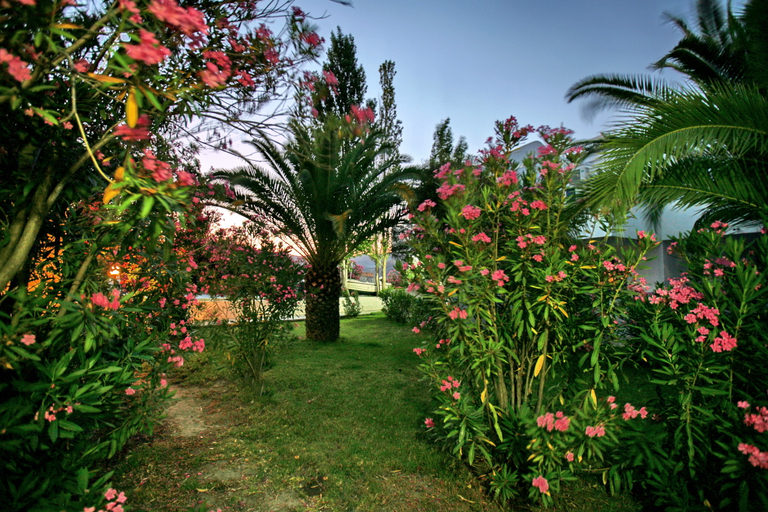 Exterior & Views 2, Aegeon, North Aegean