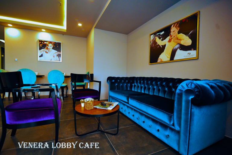 Public Area 5, Hotel Venera, Fatih
