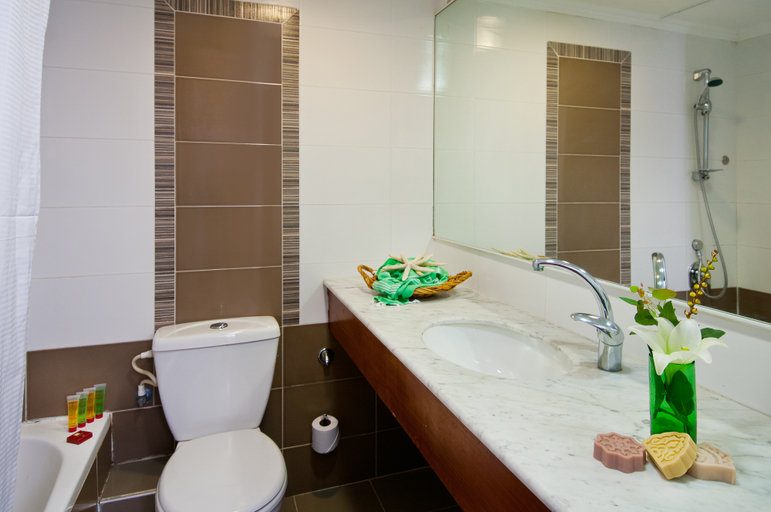 Bathroom 5, Leonardo Inn Dead Sea
