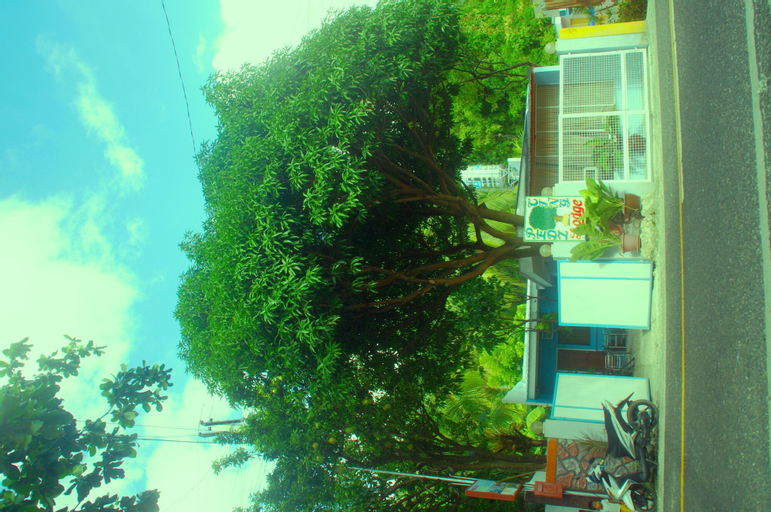 Pedz Cing Mango Lodge, Oslob