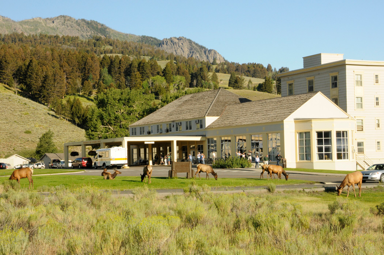 Public Area 4, Mammoth Hot Springs Hotel, Park