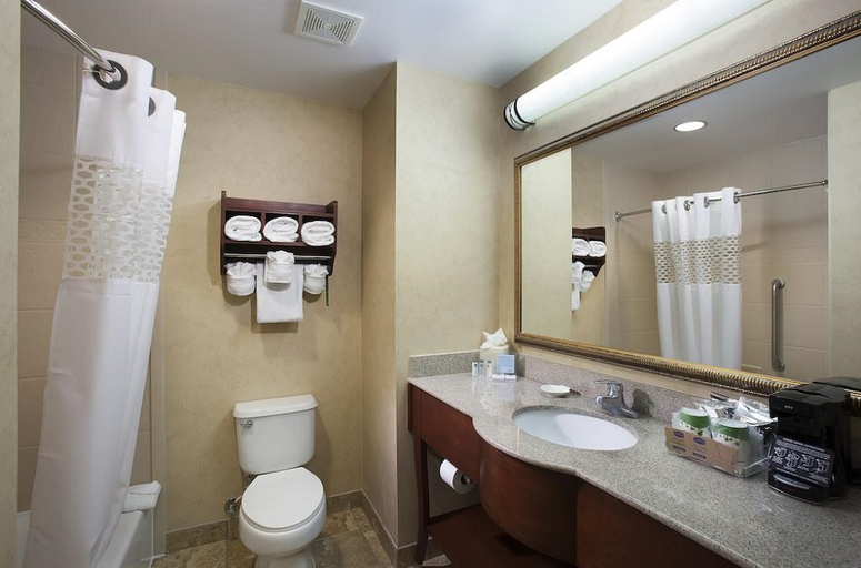Bathroom 4, Rosen Inn Lake Buena Vista, Orange