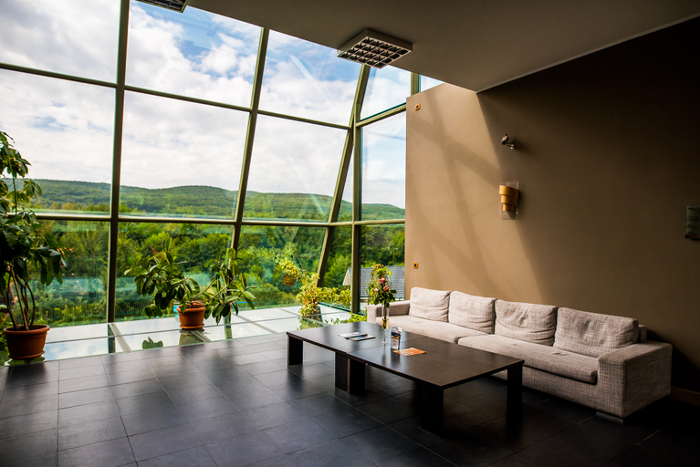 Public Area 4, Hotel Sunny Hill, Cluj-napoca