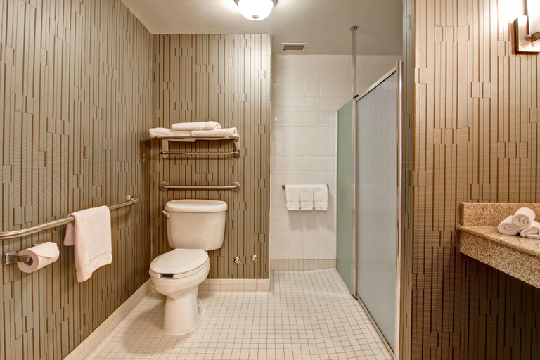 Bathroom 5, Hilton Garden Inn Toronto Markham, York
