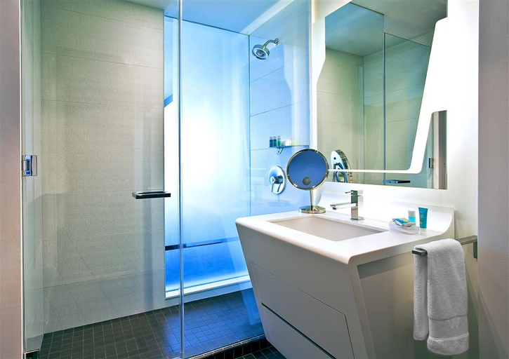 Bathroom 5, The Washington, New York