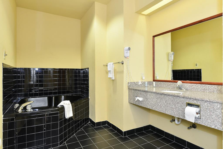 Bathroom 2, Holiday Inn Express & Suites JOPLIN SOUTHEAST by IHG, Newton