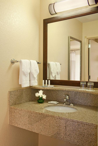 Bathroom 4, SpringHill Suites by Marriott Medford, Jackson