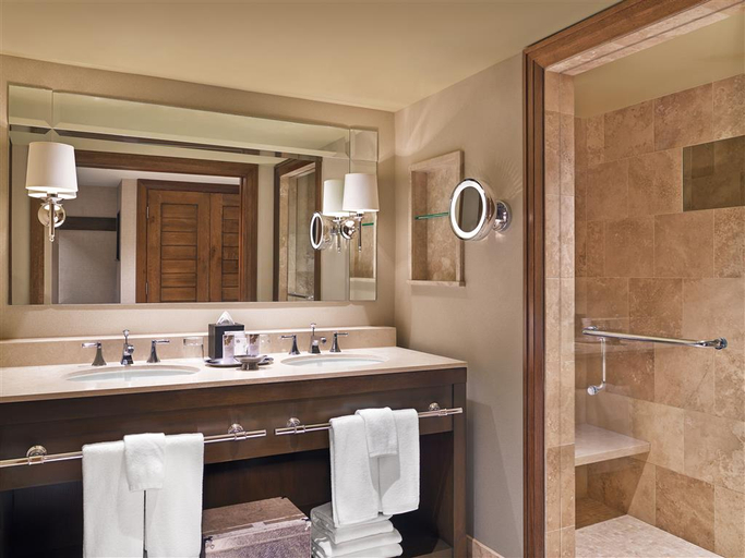 Bathroom 5, The St. Regis Aspen Resort, Pitkin