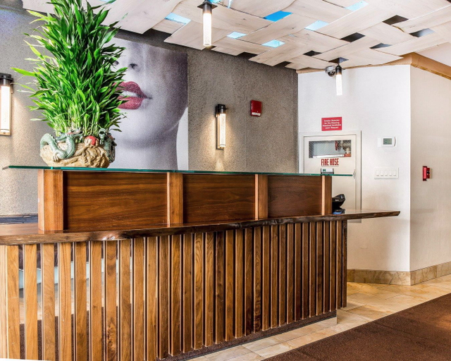 Public Area 4, The Solita Soho Hotel, New York