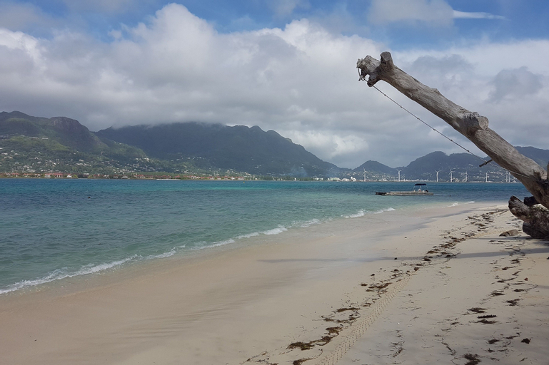Fairytern Chalets,