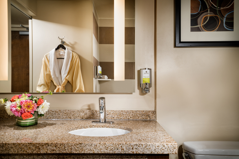 Bathroom 4, Staypineapple, Hotel Rose, Downtown Portland, Multnomah