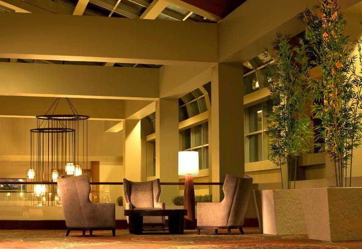 Public Area 4, Sheraton Dallas Hotel, Dallas
