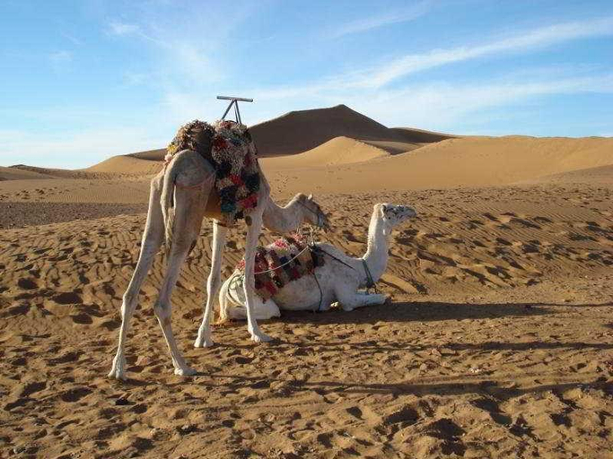 Family & Kids 4, Bivouac Les Dunes De Tinfou, Zagora