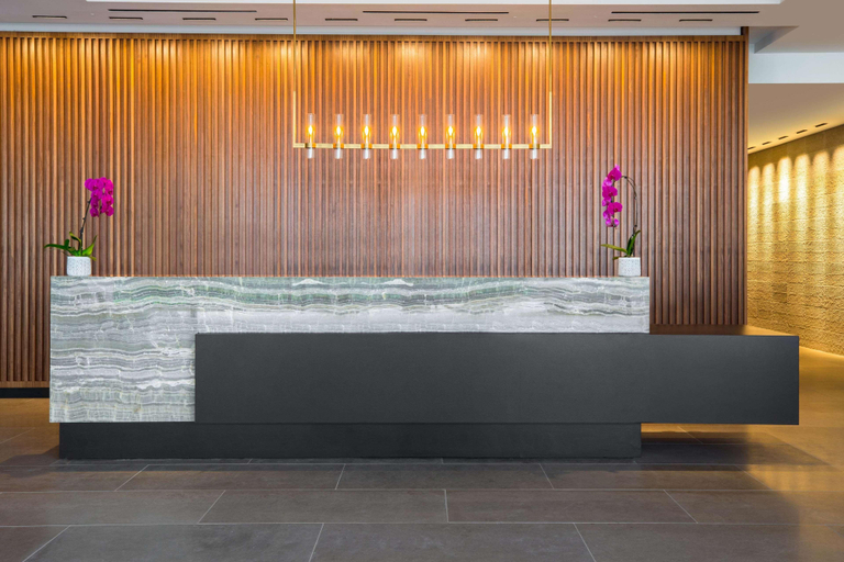 Public Area 3, C. Baldwin, Curio Collection by Hilton, Houston